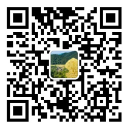 手机购彩大厅入口官网
